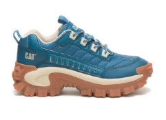 تقييم واقعي لأحذية Cat Footwear UAE: الجمع بين العملية والمتانة